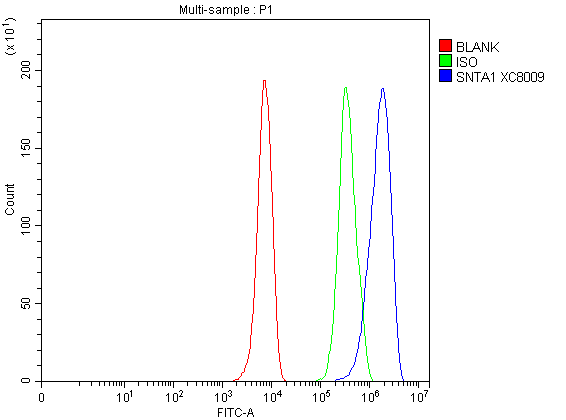 Flow Cytometry analysis of HepG2 cells using anti-SNTA1 antibody (A05370-3)