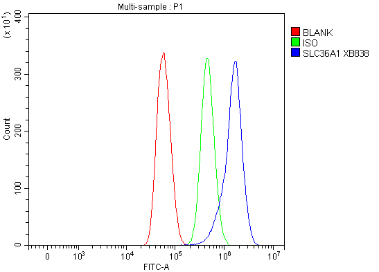 Flow Cytometry analysis of U87 cells using anti-SLC36A1 antibody (A05386-1)