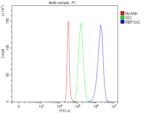 a05389 2 rbfox2 primary antibodies fcm testing 9