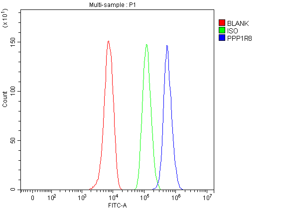 a05396 2 ppp1r8 primary antibodies fcm testing 1