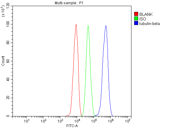 a05397 1 tubulin beta primary antibodies fcm testing 5