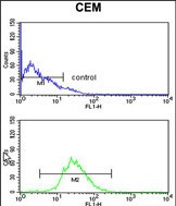 a05402 2 anti hspa6 antibody c term fc testing 3
