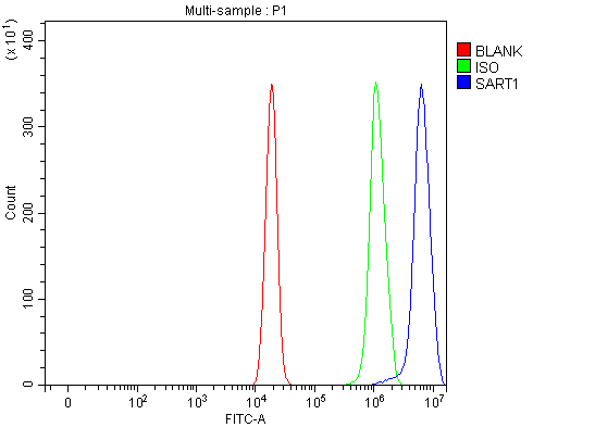 a05414 1 sart1 primary antibodies fcm testing 9