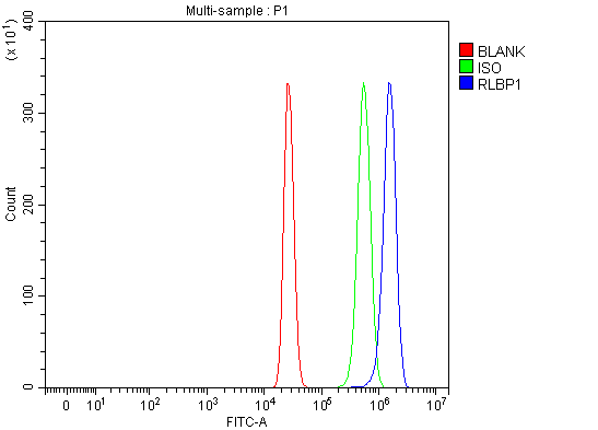 a05421 1 rlbp1 primary antibodies fcm testing 2