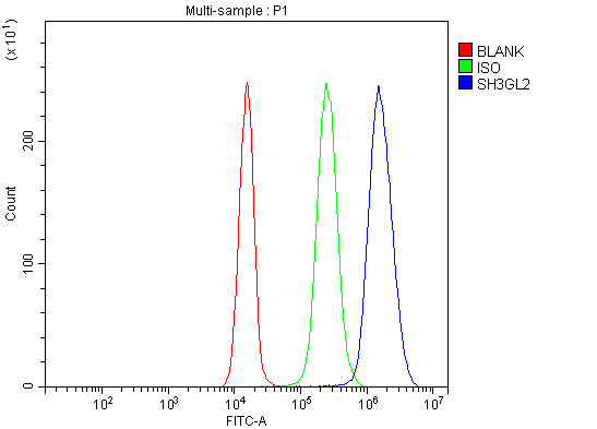 a05430 2 sh3gl2 primary antibodies fcm testing 8
