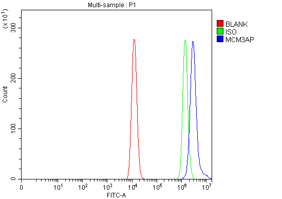  Flow Cytometry analysis of HEL cells using anti-GANP/MCM3AP antibody (A05445-2)