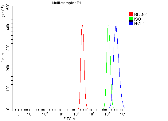 a05446 3 nvl primary antibodies fcm testing 11