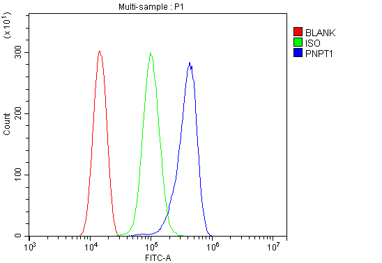 a05460 1 pnpt1 primary antibodies fcm testing 7