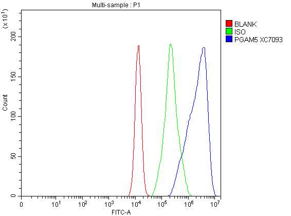a05464 pgam5 primary antibodies fcm testing 1