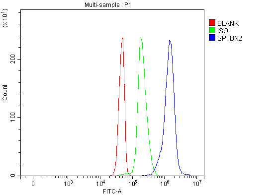a05492 sptbn2 primary antibodies fcm testing 6