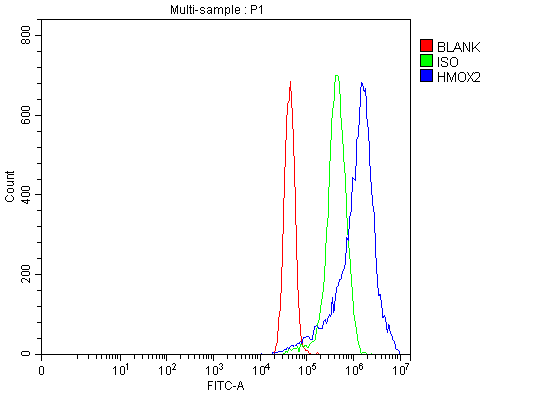 a05506 2 hmox2 primary antibodies fcm testing 6