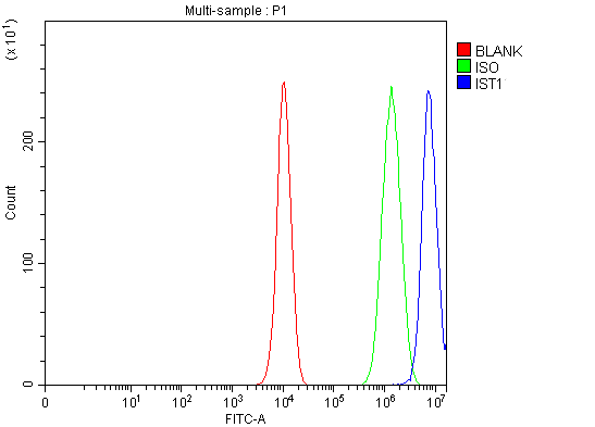 a05507 2 ist1 primary antibodies fcm testing 11