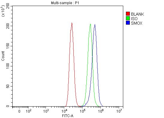 a05519 2 smox primary antibodies fcm testing 13