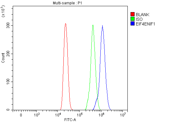 a05520 2 eif4enif1 primary antibodies fcm testing 2