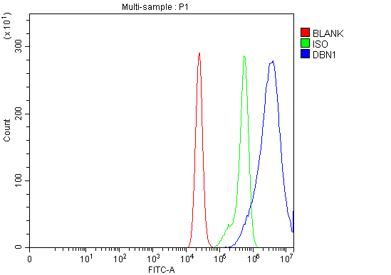 a05530 1 dbn1 primary antibodies fcm testing 6