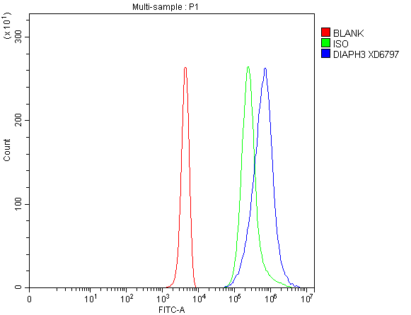 a05531 2 diaph3 primary antibodies fcm testing 1