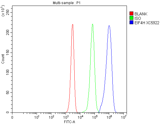 Flow Cytometry analysis of Jurkat cells using anti-EIF4H antibody (A05539-1)