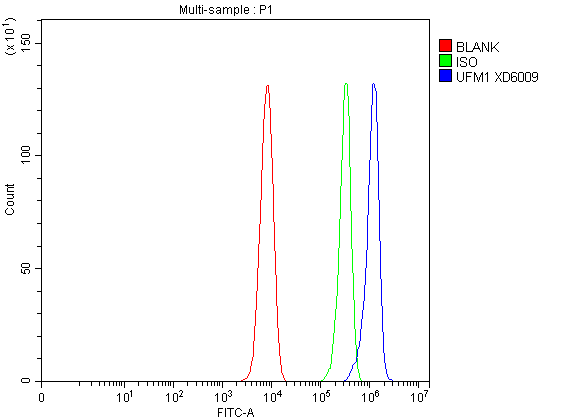 a05543 1 ufm1 primary antibodies fcm testing 1