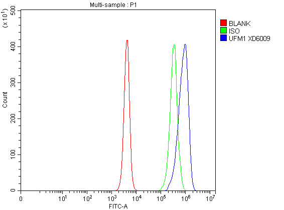 a05543 1 ufm1 primary antibodies fcm testing 3