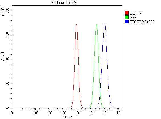 a05548 1 tfcp2 primary antibodies fcm testing 1