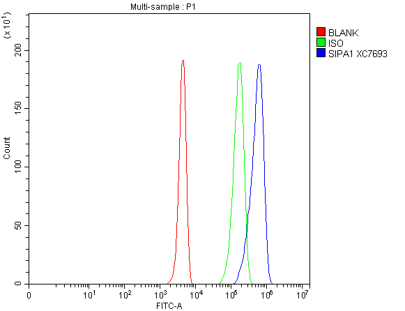 a05549 2 sipa1 primary antibodies fcm testing 1