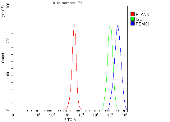 a05555 2 psmc1 primary antibodies fcm testing 3