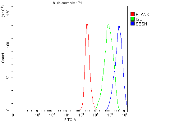  Flow Cytometry analysis of 293T cells using anti-SESN1 antibody (A05559-2)