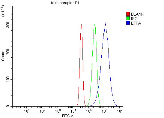 a05572 2 etfa primary antibodies fcm testing 7