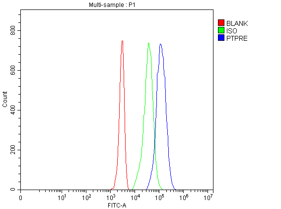 a05574 1 ptpre primary antibodies fcm testing 8