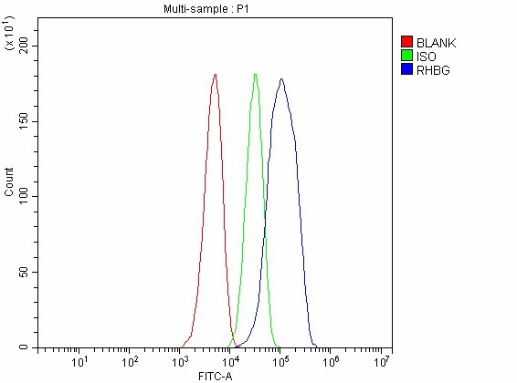  Flow Cytometry analysis of HepG2 cells using anti-RHBG antibody (A05585-1)