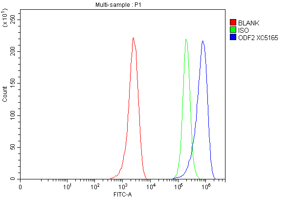 a05599 3 odf2 primary antibodies fcm testing 3