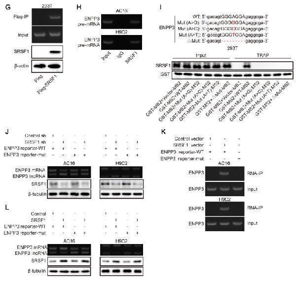 a05615 thnov15p6839g004
