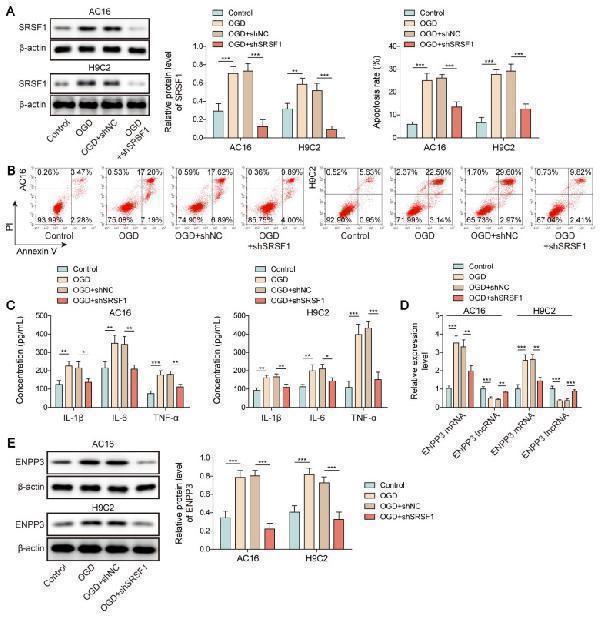 a05615 thnov15p6839g005