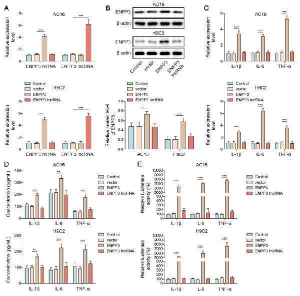 a05615 thnov15p6839g006