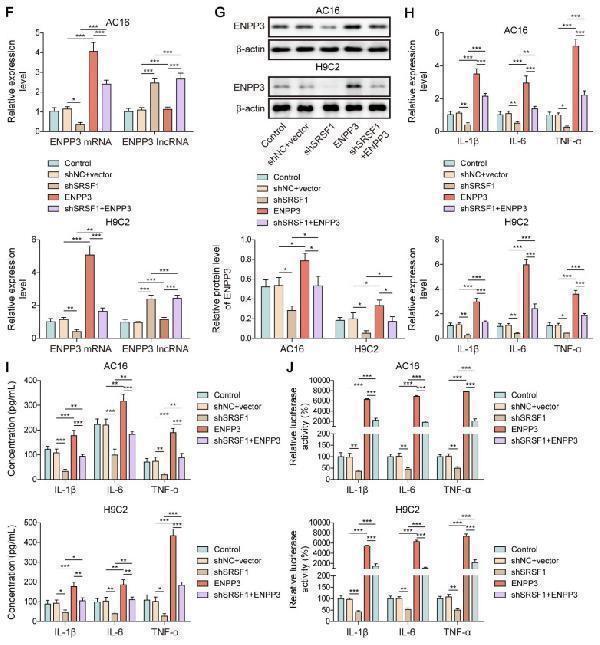 a05615 thnov15p6839g007