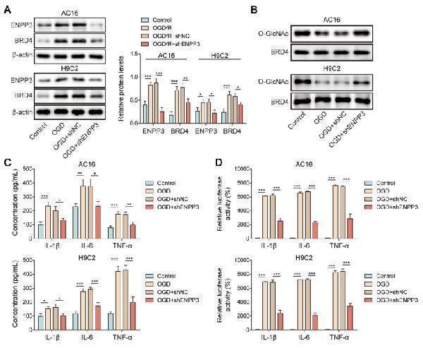 a05615 thnov15p6839g010