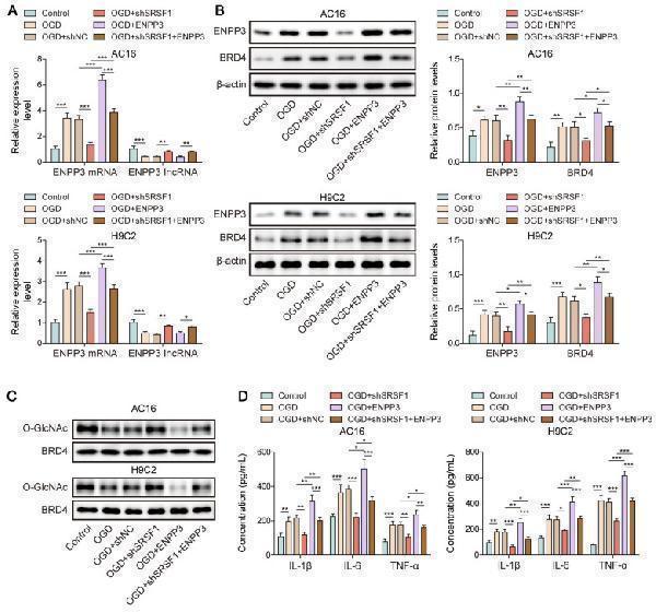 a05615 thnov15p6839g011