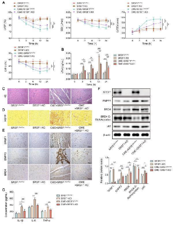 a05615 thnov15p6839g012