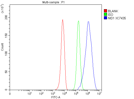 a05621 nid1 primary antibodies fcm testing 1
