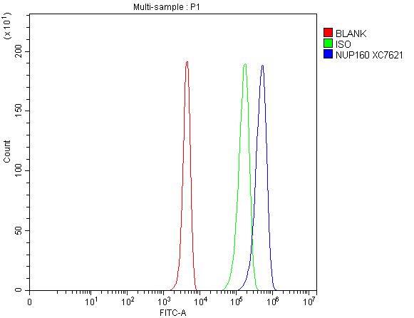 Flow Cytometry analysis of 293T cells using anti-NUP160 antibody (A05629-2)
