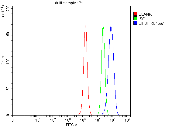 a05656 1 eif3h primary antibodies fcm testing 5