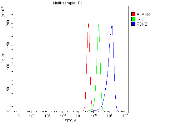 a05658 1 pdk3 primary antibodies fcm testing 7