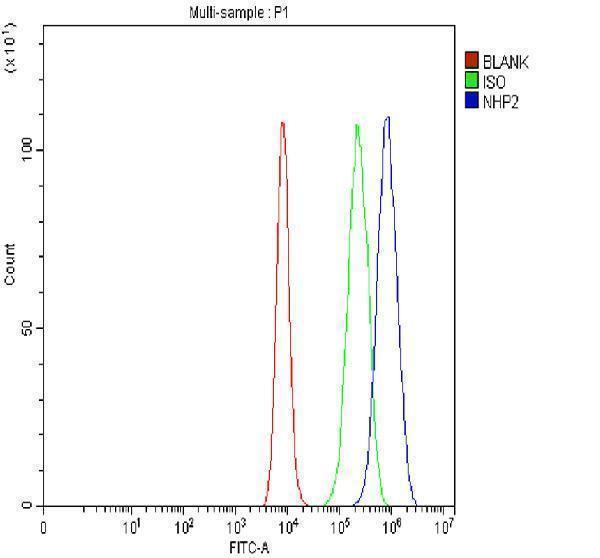 a05665 1 nhp2 primary antibodies fcm testing 4