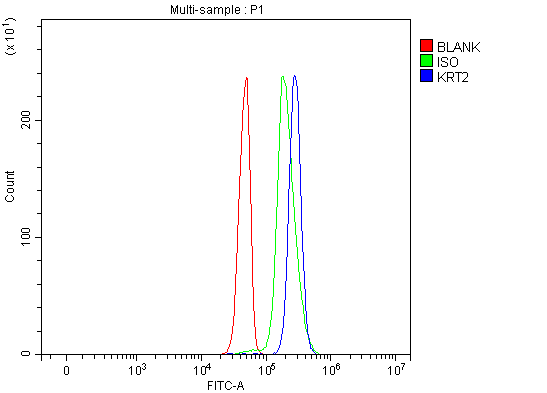 a05667 2 krt2 primary antibodies fcm testing 4
