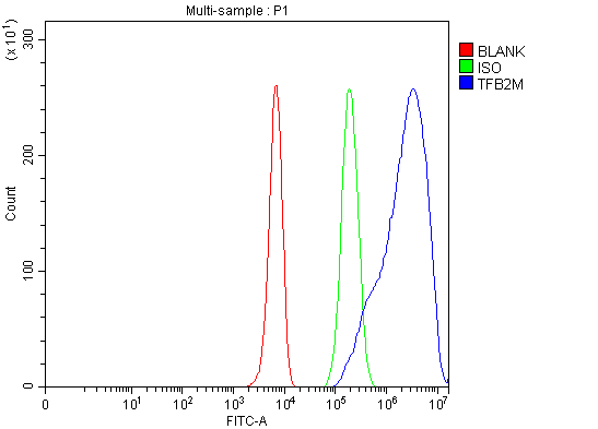  Flow Cytometry analysis of K562 cells using anti-TFB2M antibody (A05679-2)