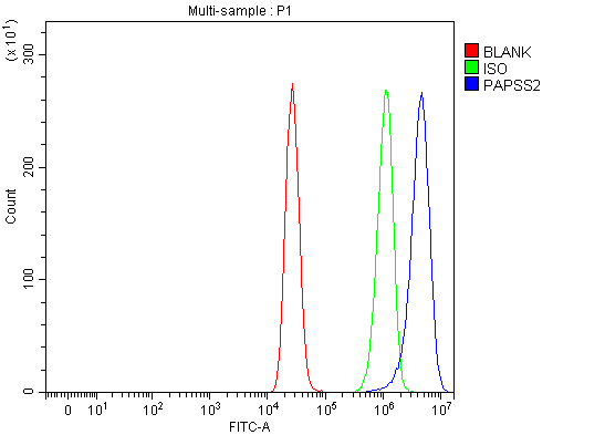 a05684 1 papss2 primary antibodies fcm testing 8