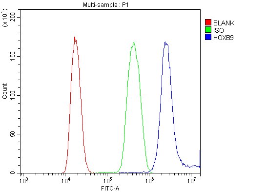 a05689 1 hoxb9 primary antibodies fcm testing 2