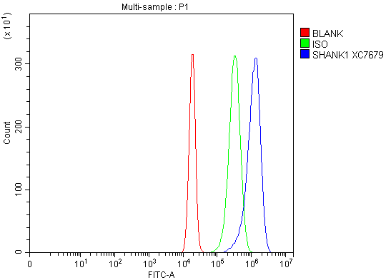Flow Cytometry analysis of U2OS cells using anti-SHANK1 antibody (A05690-2)