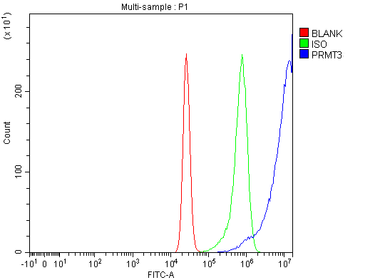  Flow Cytometry analysis of K562 cells using anti-PRMT3 antibody (A05694-1)