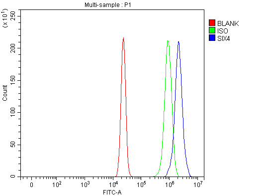  Flow Cytometry analysis of U20S cells using anti-SIX4 antibody (A05695-1)